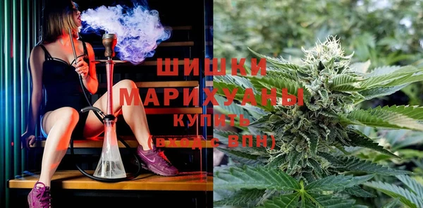 Альфа ПВП Осташков